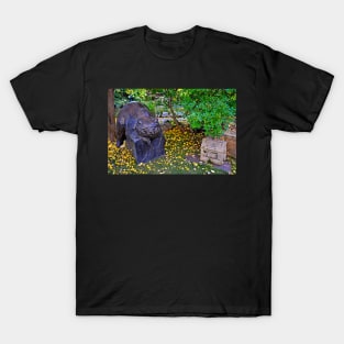 Santa Fe Sculpture Garden Study 7 T-Shirt